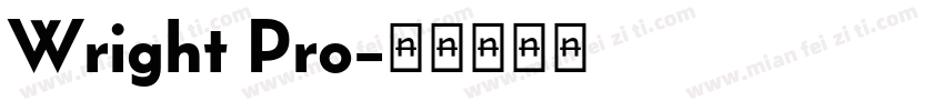 Wright Pro字体转换